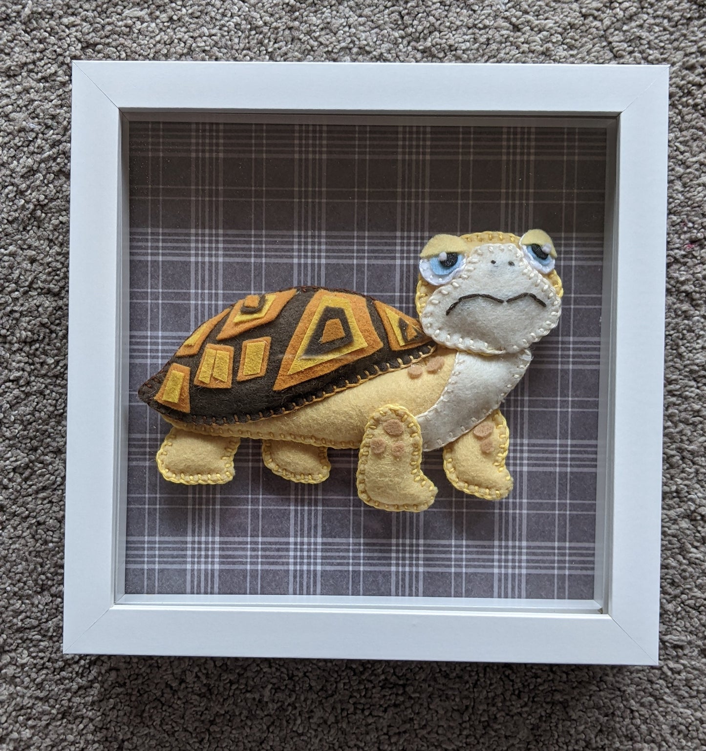 Squirtle the Box turtle