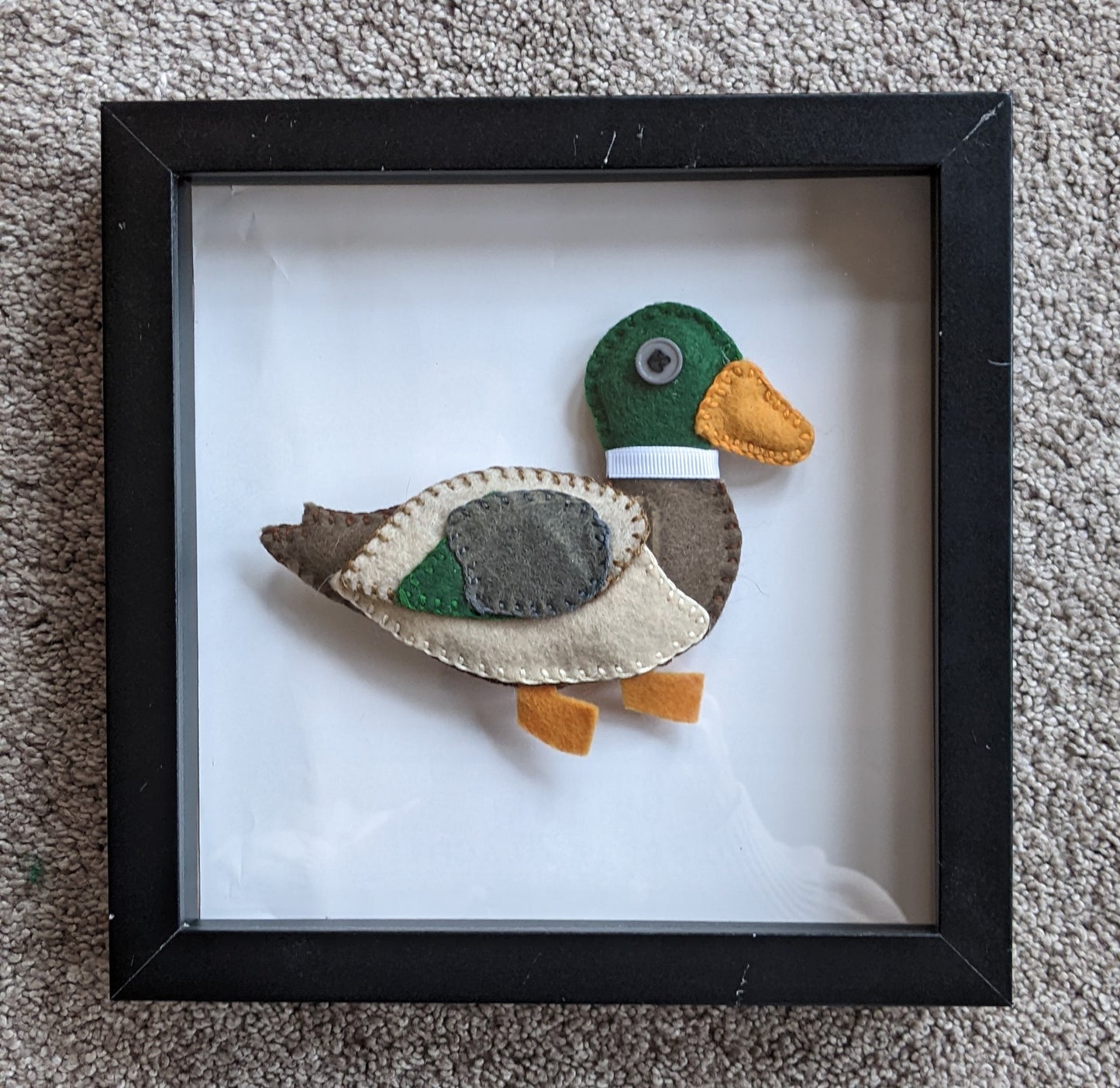 That's a good lookin' Mallard!