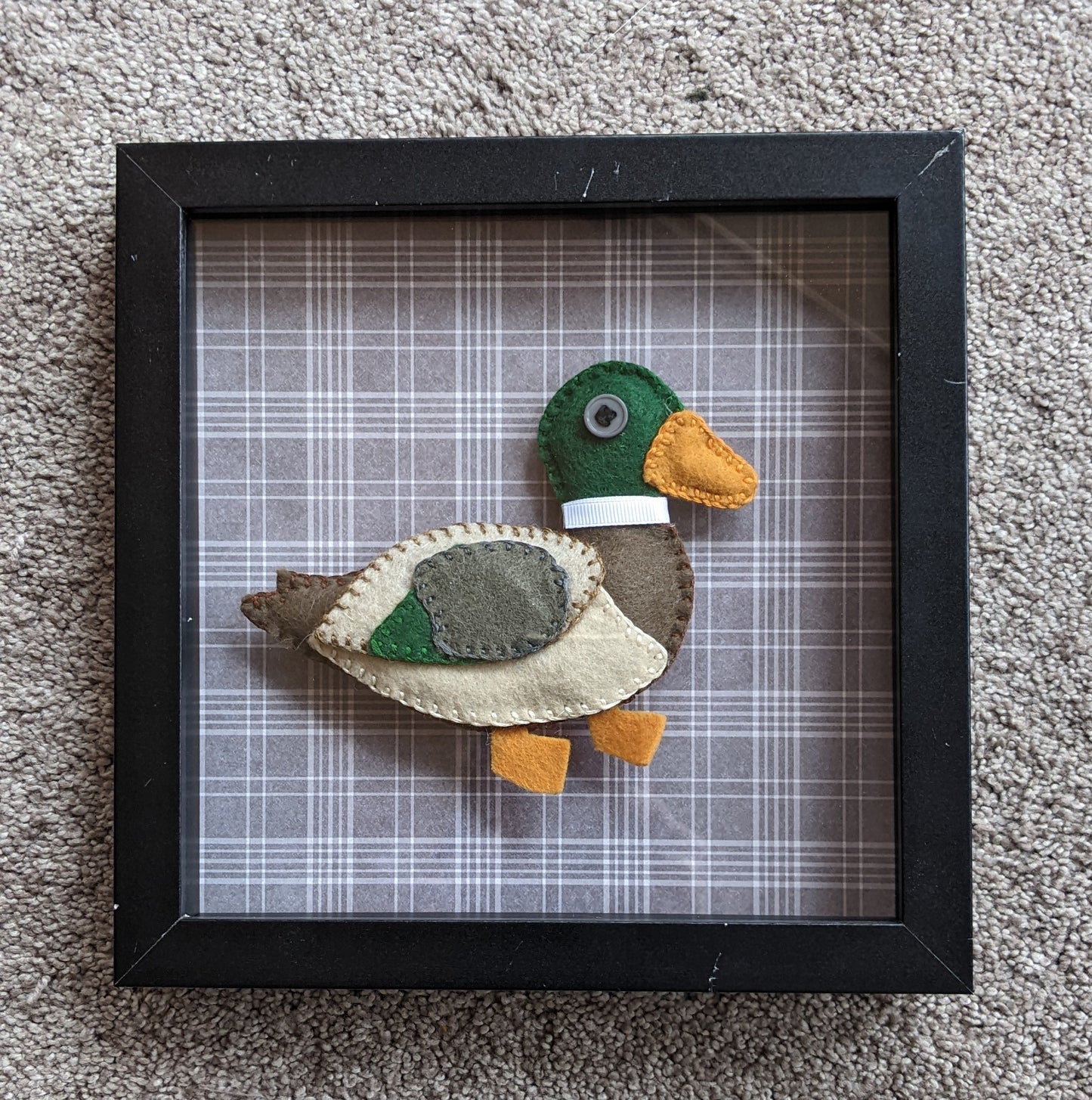 That's a good lookin' Mallard!